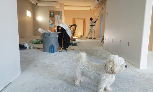 Blog2